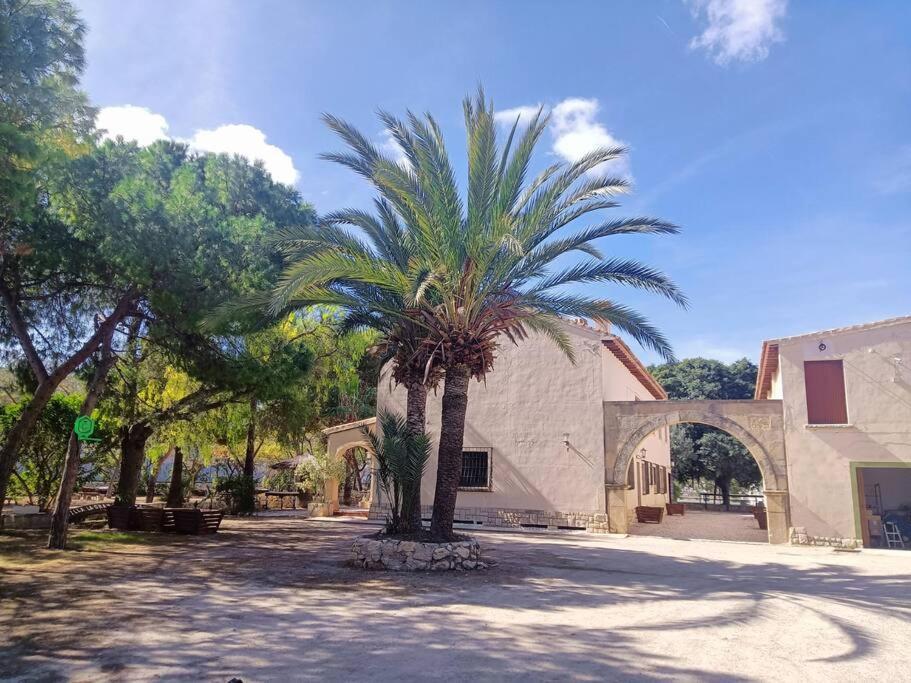 Villa La Gran Duquesa - Alicante — Photos 3